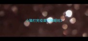 小猫打完疫苗拉稀呕吐