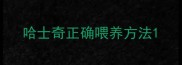 哈士奇正确喂养方法