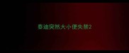 泰迪突然大小便失禁