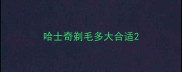 哈士奇剃毛多大合适