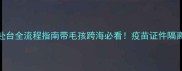 大陆宠物赴台全流程指南带毛孩跨海必看疫苗证件隔离全攻略