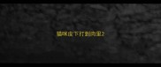 猫咪皮下打到肉里