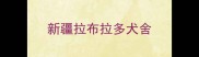 新疆拉布拉多犬舍