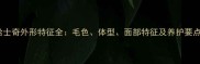 哈士奇外形特征全毛色体型面部特征及养护要点