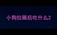 小狗拉稀后吃什么