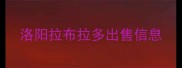 洛阳拉布拉多出售信息