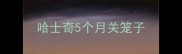 哈士奇5个月关笼子