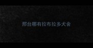 邢台哪有拉布拉多犬舍