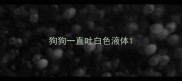 狗狗一直吐白色液体
