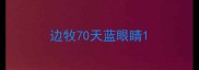 边牧70天蓝眼睛
