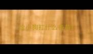 给小狗打什么疫苗