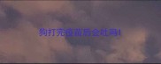 狗打完疫苗后会吐吗