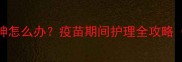 狗狗接种疫苗后没精神怎么办疫苗期间护理全攻略附恢复期注意事项