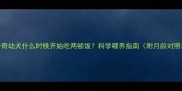 哈士奇幼犬什么时候开始吃两顿饭科学喂养指南附月龄对照表