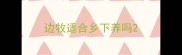 边牧适合乡下养吗