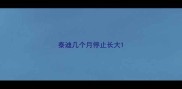 泰迪几个月停止长大