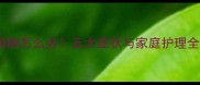 狗狗啃脚怎么办五大症状与家庭护理全指南
