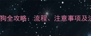宠物店租狗全攻略流程注意事项及法律风险