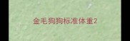 金毛狗狗标准体重