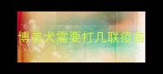 博美犬需要打几联疫苗