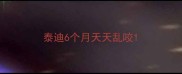 泰迪6个月天天乱咬