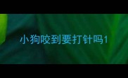 小狗咬到要打针吗