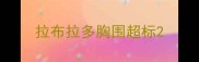 拉布拉多胸围超标