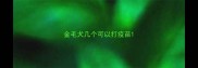 金毛犬几个可以打疫苗