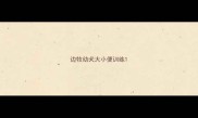 边牧幼犬大小便训练