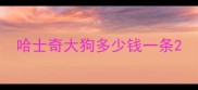 哈士奇大狗多少钱一条
