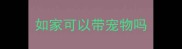 如家可以带宠物吗