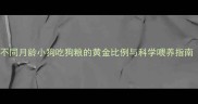 宠物喂养必读不同月龄小狗吃狗粮的黄金比例与科学喂养指南附换粮技巧