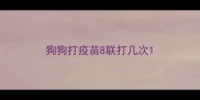 狗狗打疫苗8联打几次