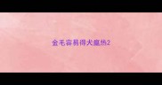 金毛容易得犬瘟热