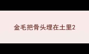 金毛把骨头埋在土里