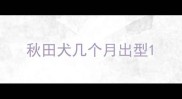 秋田犬几个月出型