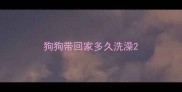 狗狗带回家多久洗澡