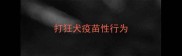 打狂犬疫苗性行为