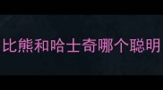 比熊和哈士奇哪个聪明