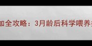 金毛幼犬辅食添加全攻略3月龄后科学喂养指南附食谱