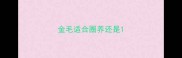 金毛适合圈养还是