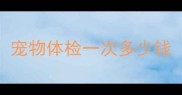 宠物体检一次多少钱