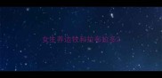 女生养边牧和拉布拉多