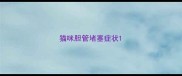 猫咪胆管堵塞症状