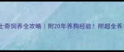 成年哈士奇饲养全攻略附20年养狗经验附超全养护清单