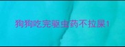 狗狗吃完驱虫药不拉屎