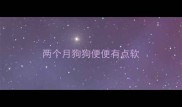两个月狗狗便便有点软