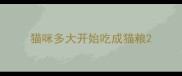 猫咪多大开始吃成猫粮