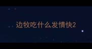 边牧吃什么发情快
