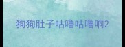 狗狗肚子咕噜咕噜响